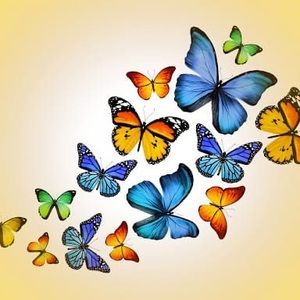 Meet your Posher, Maria